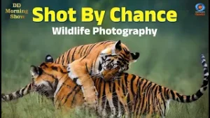 DD Morning Show | Shot By Chance | Wildlife Photography | DD National