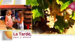 The Afternoon, Here and Now | From the Prosecutor's Office to the Vineyard: A Family Harvest in L...