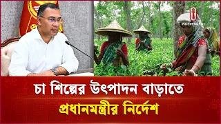 চায়ের উৎপাদন বৃদ্ধি ও সমস্যা সমাধানের তাগিদ প্রধানমন্ত্রীর | PM | Tea | Independent TV