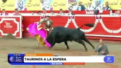 Bullfights in Manizales await Council of State ruling