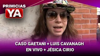 CASO GAETANI + LUIS CAVANAGH EN VIVO + JÉSICA CIRIO #PrimiciasYa | Programa completo (14/08/26)