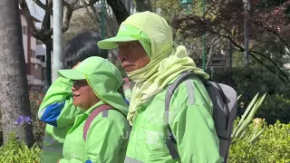 "Hormiguitas Chúas" have been unemployed for three months
