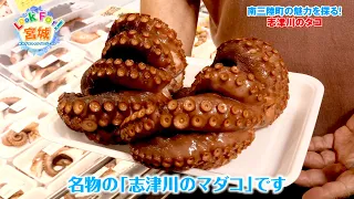 Catch-up Stream【Look For! Miyagi】The Allure of Minamisanriku, Miyagi: Shizugawa Octopus