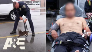 Live PD: Police Patrol – Best of Winter *Compilation* | A&E