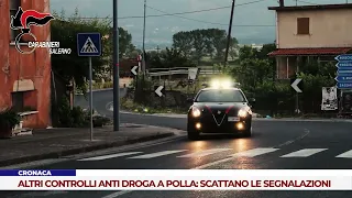 CRONACA. ALTRI CONTROLLI ANTI DROGA A POLLA: SCATTANO LE SEGNALAZIONI
