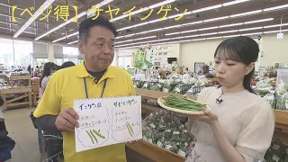 [Veggie Deal] Green Beans