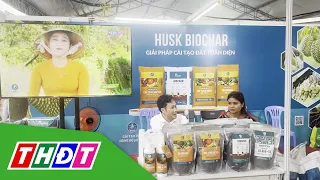 Giải pháp sinh học trong canh tác sầu riêng | THDT