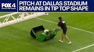 Crews keep Dallas Stadium's indoor grass elite