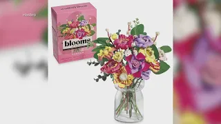 Play-Doh rivals LEGO with new "Blooms" line designed for adults | The Daily Brew