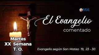 Gospel 📖 commentary August 18🕊️