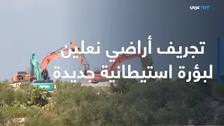 Settlers Bulldoze Land and Uproot Olive Trees to Prepare for an Outpost West of Ramallah