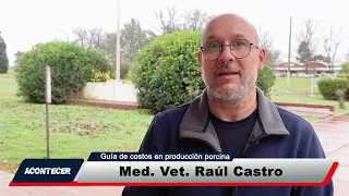 Guía de costos en producción porcina. Más detalles