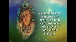 Novena to the Divine Child Jesus - Day 5