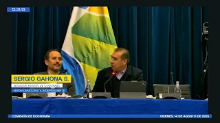 Comisión de Economía - 14 de agosto de 2026