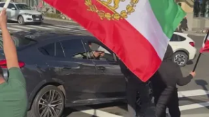 Iran demonstrators allege man pointed gun at them