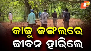 Two Bodies Found Hanging in Cashew Forest in Nabarangpur; Police Begin Investigation