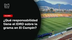 How responsible is the IDRD for the poor condition of the pitch at El Campín?