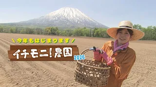 [Ichimoni Farm] Only 6m in 10 minutes by hand... The latest tractor's planting efficiency is insa...