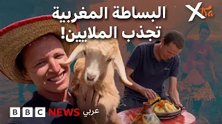 ما السر وراء شهرة رشيد المغربي مربي الدجاج؟