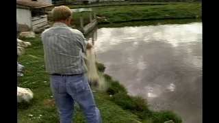 Jornal da Cidade featured fish farming in the Alto Vale region in 1999