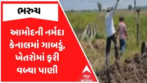 Bharuch Narmada Canal | ભરુચમાં આમોદની નર્મદા કેનાલમાં ગાબડું, ખેતરોમાં ફરી વળ્યા પાણી