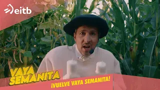 "Vaya Semanita" is back with BASK BUNNY and stronger than ever!