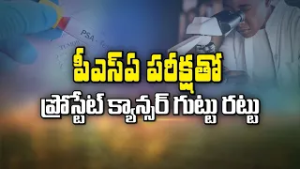 ప్రోస్టేట్ క్యాన్సర్ ని పట్టుకోండిలా | How to detect Prostate cancer early ? | Sukhibhava | ETV Life