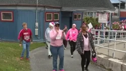 Harrisburg's breast cancer walk builds community support and honors survivors