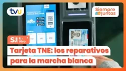 Electronic payment: learn how to validate your TNE in Greater Concepción