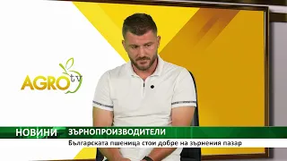 ЗЪРНОПРОИЗВОДИТЕЛИ: Българската пшеница стои добре на зърнения пазар