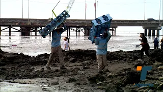 Large amount of trash collected during beach cleanup drive