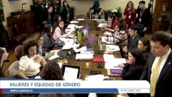 Committee on Women and Gender Equity - Wednesday, October 7, 2026