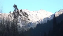 Mountain Gorges Cleaned Up in Almaty