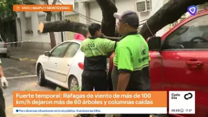 Tormenta en Rosario: Montevideo y Maipú con tres vehículos dañados