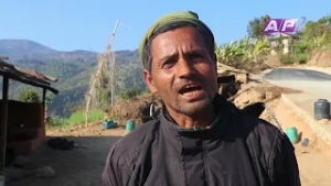 अवैध र जथाभावी संकलन तथा पैठारीले बहुगुणी वनस्पति चुत्रोको अस्तित्व संकटमा | AP REPORT | AP1HD