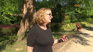 Új lakók költöztek a Kámoni Arborétumba
