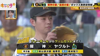 【ボックス席SOON】🐯🎐阪神の夏！猛虎の夏！ボックス席直前情報【7月3日（金）阪神-中日】