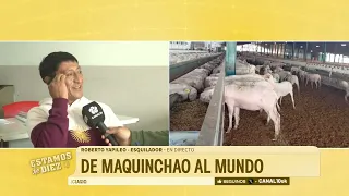 Sheared sheep in Spain and returned to Río Negro after an experience of hard work and sacrifice