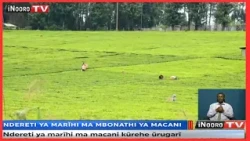 Marĩhi ma mbonathi ya macani kũrehe ũrugarĩ