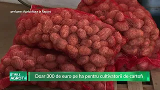 Only 300 Euros per hectare for potato farmers 09/02/2026