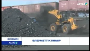 Әлеуметтік көмір