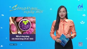 Chăm sóc sức khỏe - Một số công dụng của khoai lang với sức khỏe