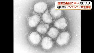 Influenza Advisory Issued Across Okayama Prefecture: Second-Earliest on Record; Medical Professio...