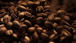 Coffee consumption habits