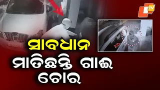 Cattle Theft in Expensive Car? CCTV Captures Late-Night Incident in Kanas