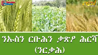 ንኡስን ርቡሕን ቃጽዖ ሕርሻ - (ንርቃሕ)  - ፍረጻዕሪ | Fere Tsaeri - Small and Productive Farm Plot - (SPFP)