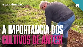 A importancia dos cultivos de antes! | O TERMÓMETRO