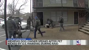 Questions raised after U.S marshal kicks, injures dog
