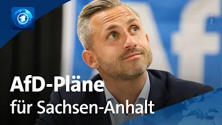 Was passieren könnte, wenn die AfD in Sachsen-Anhalt regiert