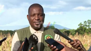 Comercialização da banana: Produtores de Gorongosa sugerem harmonização do preço